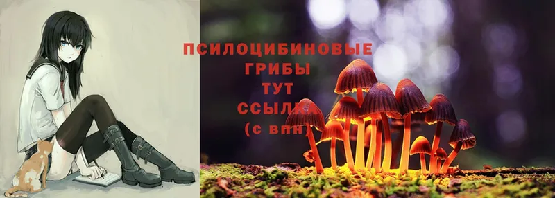 Псилоцибиновые грибы Magic Shrooms  блэк спрут tor  Мензелинск 